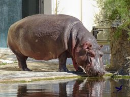 Tiergarten Schönbrunn am 03.10.2025